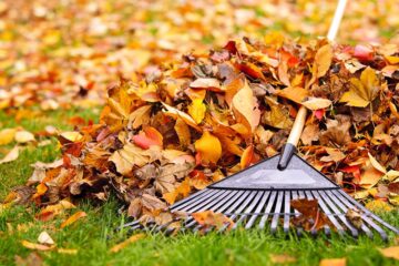 shutterstock_118900342